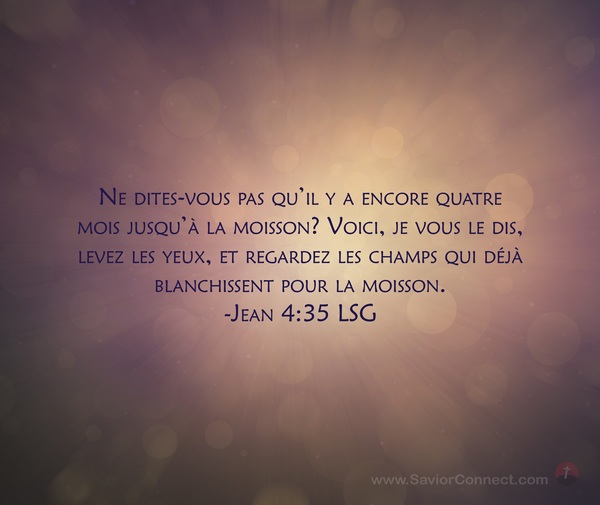 Lire la suite à propos de l’article Etude biblique du 15 juillet 2025