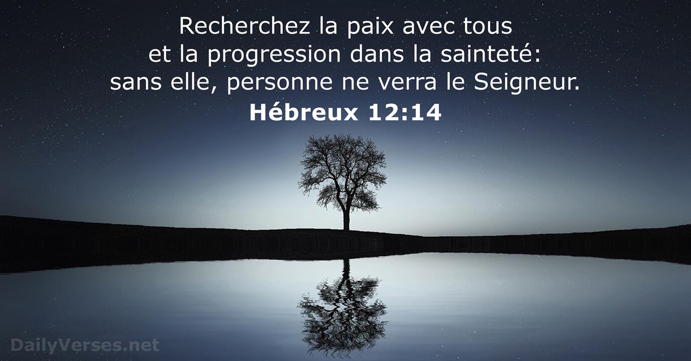 You are currently viewing Etude biblique du 9 juillet 2025